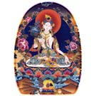 "Tara Earth" T-Shirt
